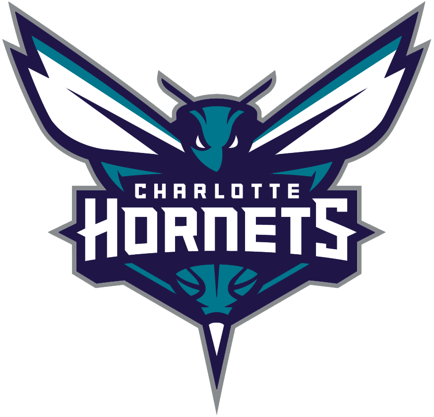 Charlotte Hornets 2014-Pres Primary Logo iron on heat transfer